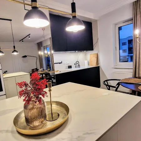 Luxury In City-13-księżymłyn&stylish&freeparking Apartament Łódź