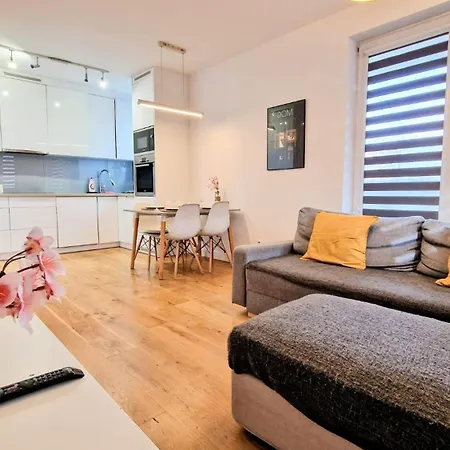 Apartment Luxury In City-13-ksiezymlyn&stylish&freeparking *